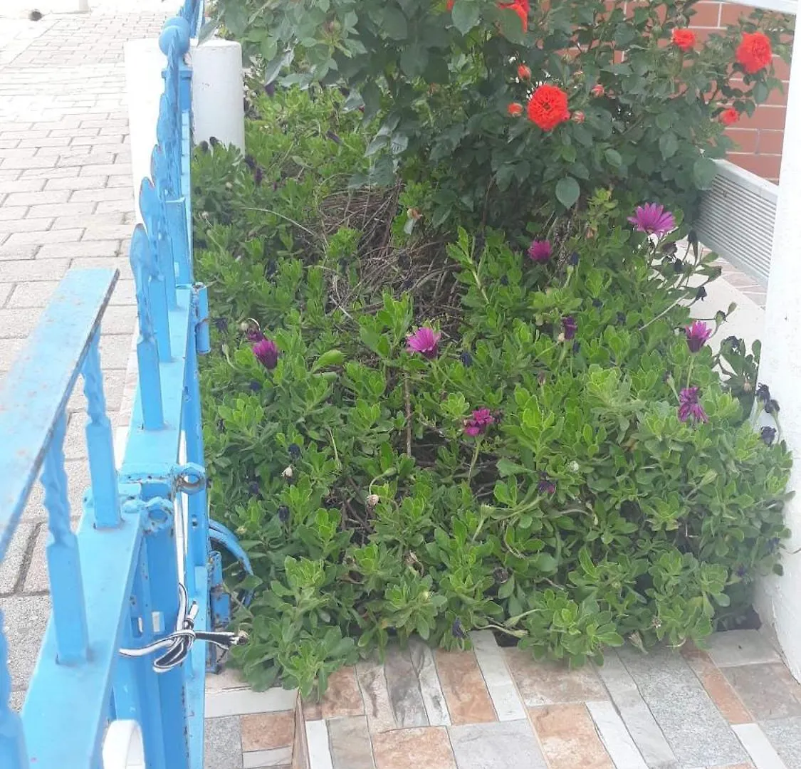 Vila Shuka Ksamil Sarandë 5*,